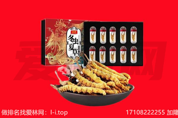 周口市郸城回收虫草.jpg